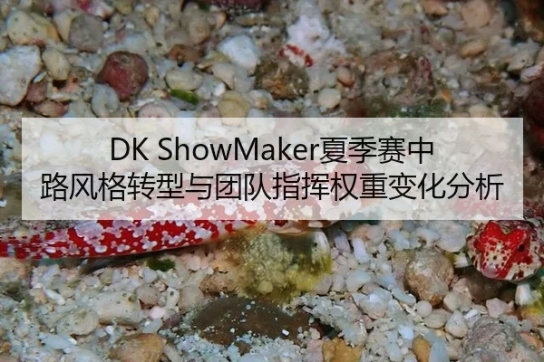 DK ShowMaker夏季赛中路风格转型与团队指挥权重变化分析